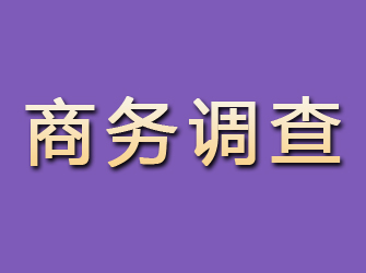 六安商务调查